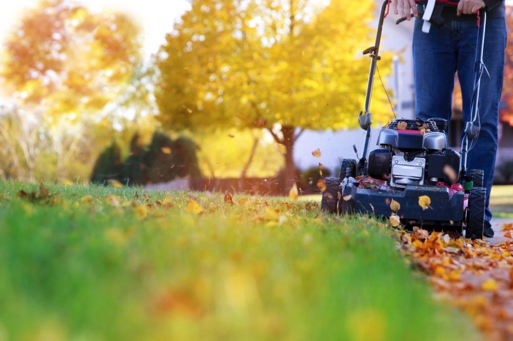 Cutting lawn in online winter